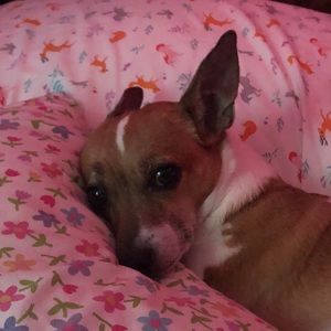 Meet your Posher, Beth